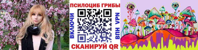 kraken зеркало  Южа  площадка состав  Псилоцибиновые грибы MAGIC MUSHROOMS 