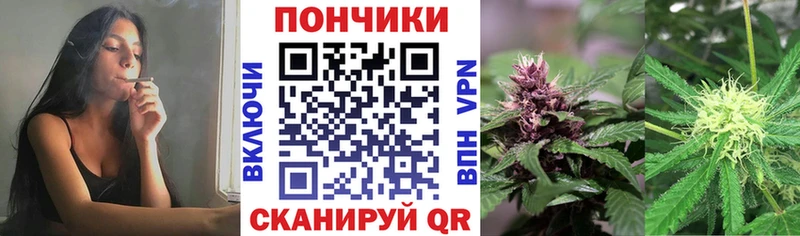 блэк спрут зеркало  Южа  Бошки марихуана марихуана  хочу наркоту 